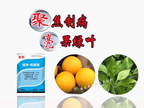 聚焦制病，亮果綠葉 標準化商品信息咨詢服務解析
